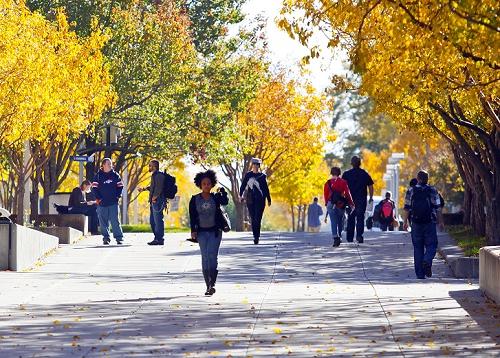 People walking on Auraria campus surrounded by Autumn colored trees.